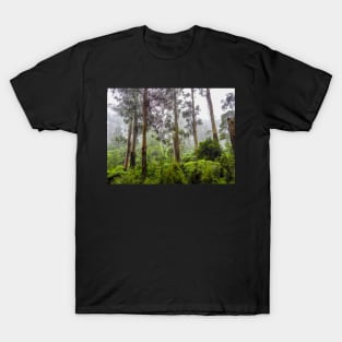 Rainforest of the Dandenong Ranges T-Shirt